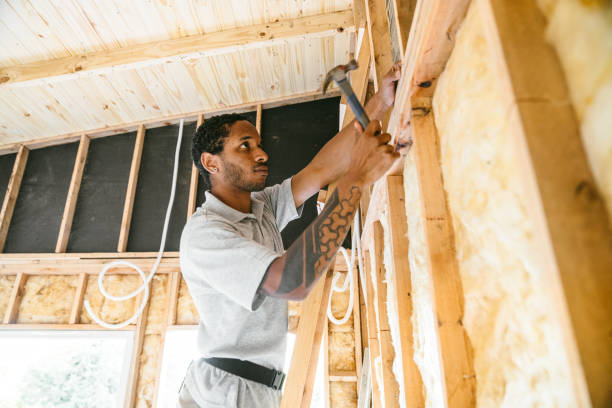 Best Wall Insulation Contractor  in Portsmouth, NH